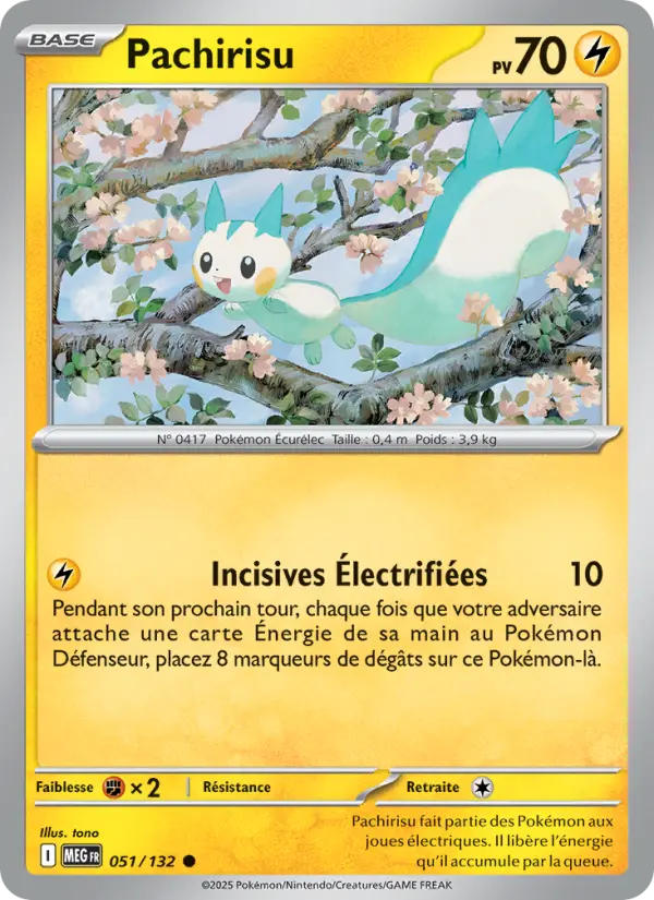 [051/132 [Normal]] Pachirisu (Normal)