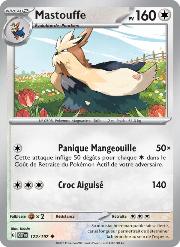 [172/197] Mastouffe 172/197