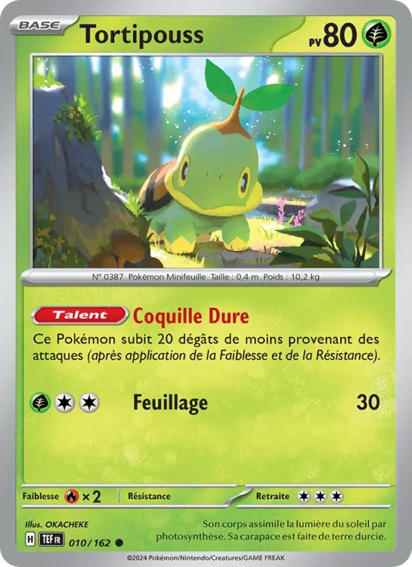 [010/162] Tortipouss 010/162