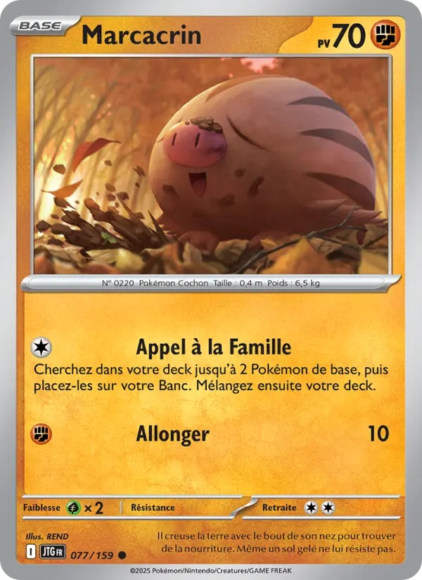 [077/159] Marcacrin 077/159