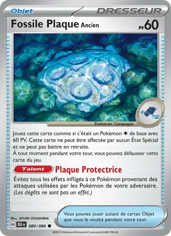 [080/86] Fossile Plaque Ancien 080/86