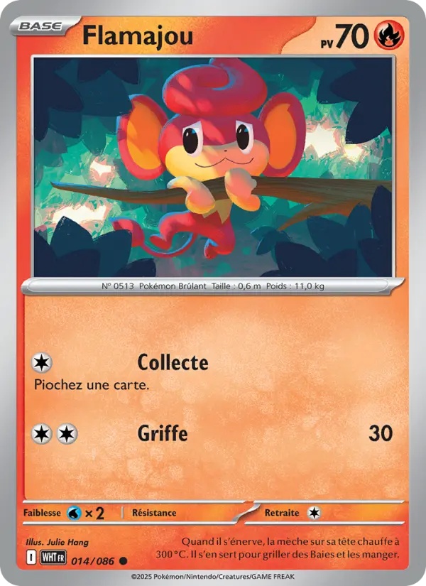 [014/86] Flamajou 014/86