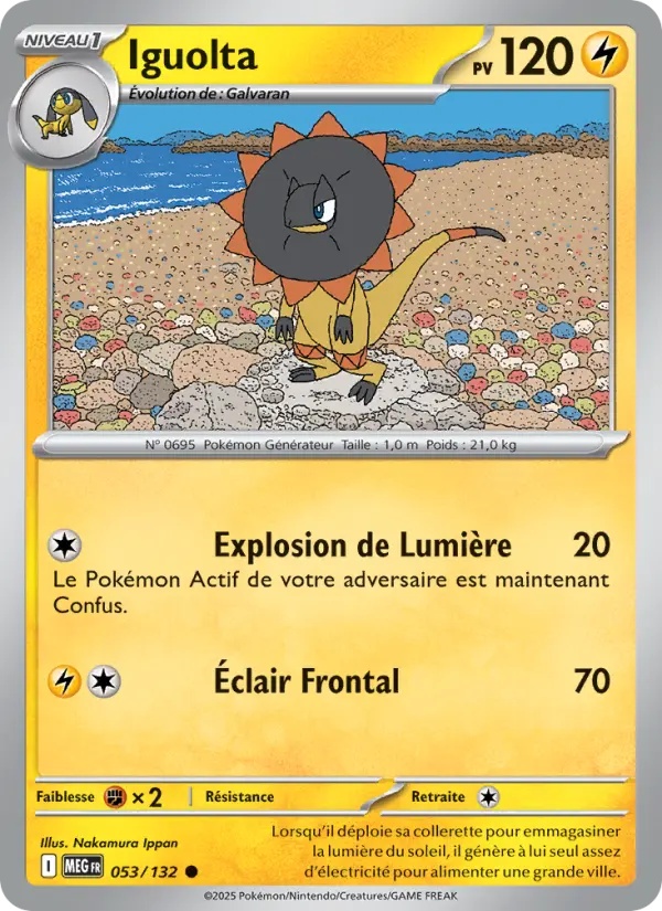 [053/132] Iguolta 053/132