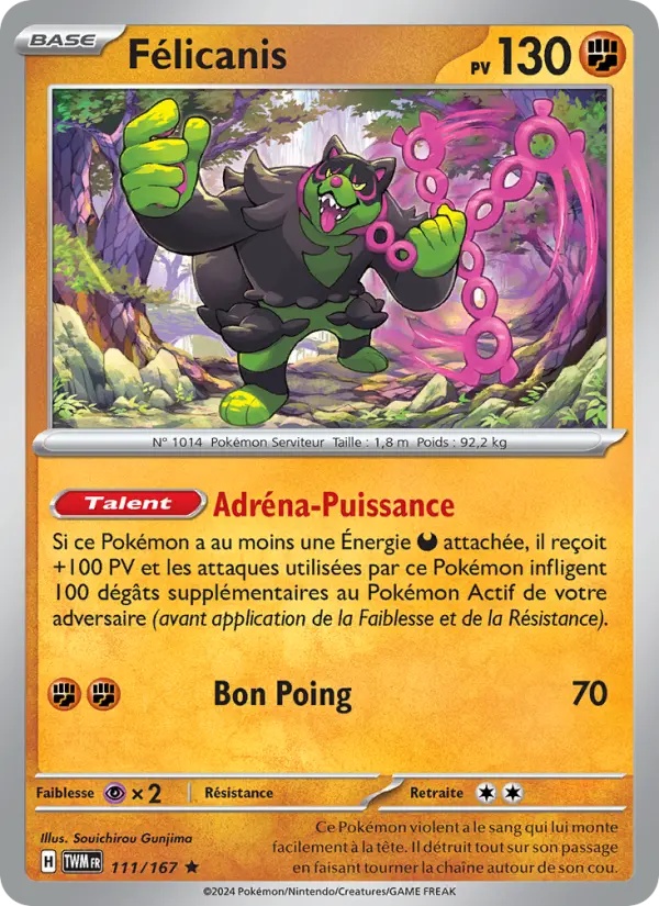 [111/167] Félicanis 111/167 Reverse