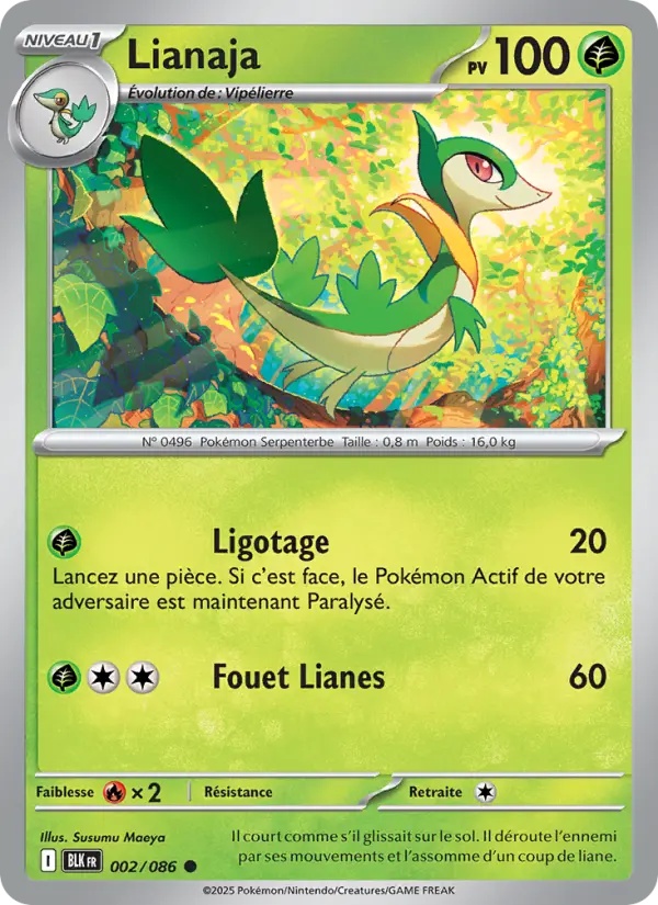 [002/86] Lianaja 002/86 Reverse