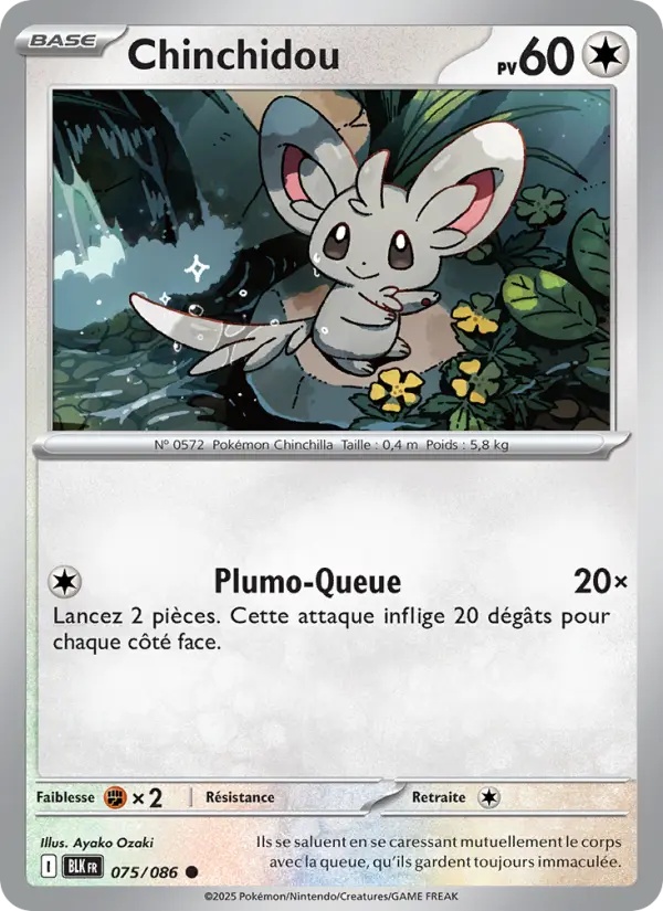 [075/86] Chinchidou 075/86 Reverse