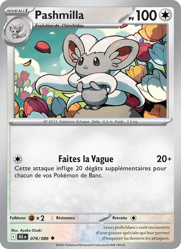 [076/86] Pashmilla 076/86 Reverse