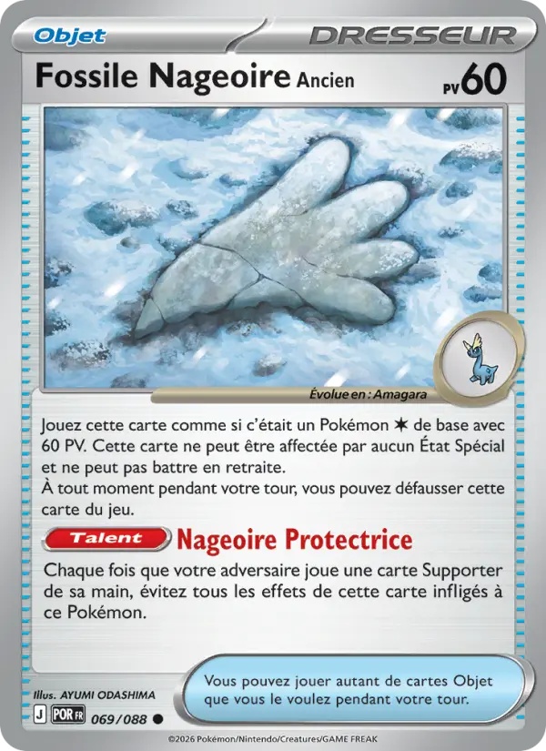 [069/88] Fossile Nageoire Ancien 069/88