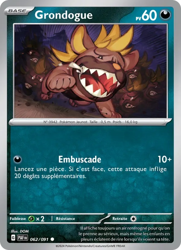 Grondogue 062/91