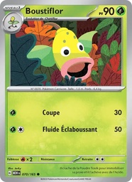 Boustiflor 070/165