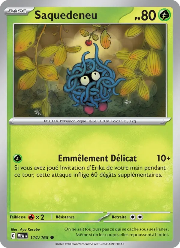 Saquedeneu 114/165