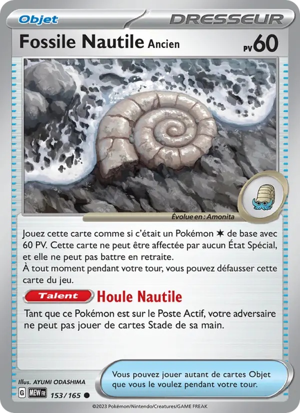 Fossile Nautile Ancien 153/165