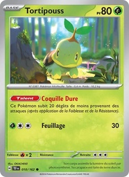 Tortipouss 010/162