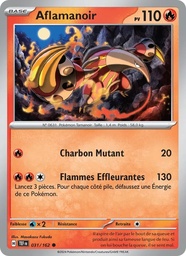 Aflamanoir 031/162