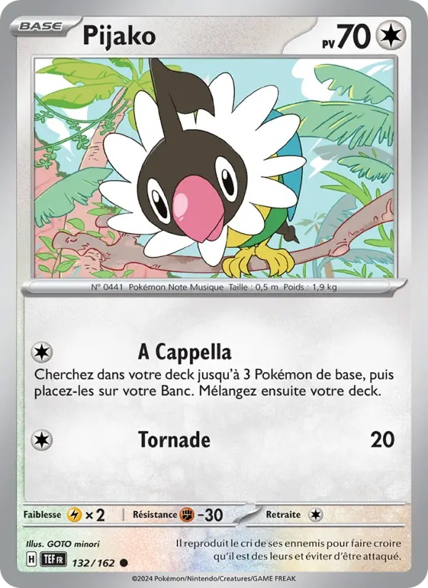 Pijako 132/162