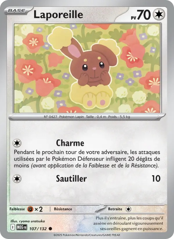 Laporeille 107/132