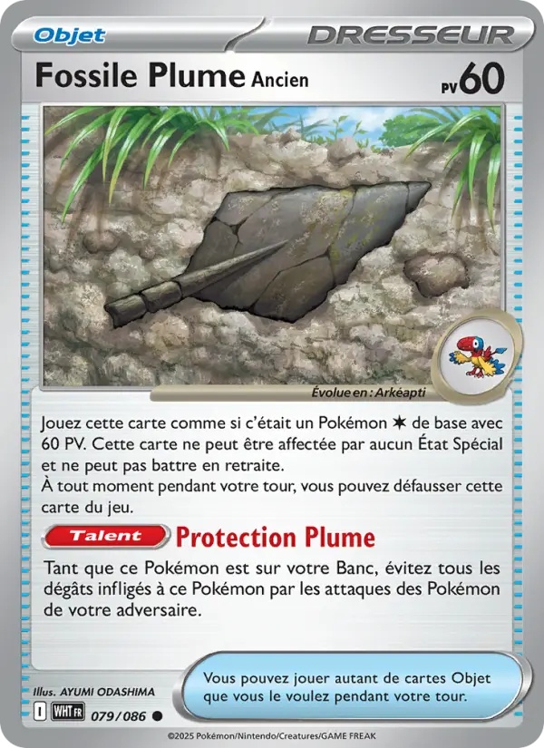 Fossile Plume Ancien 079/86