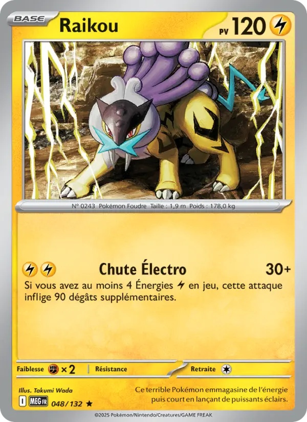 Raikou 048/132 Reverse