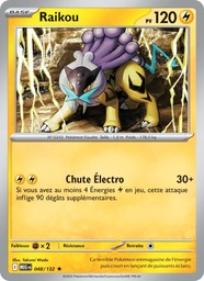 Raikou 048/132 Reverse