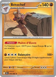 Bétochef 049/86 Holo