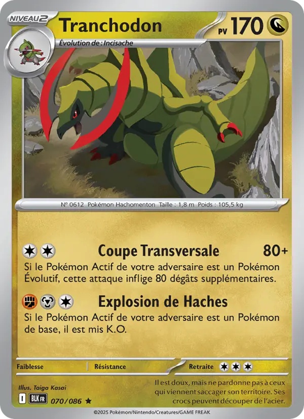 Tranchodon 070/86 Reverse