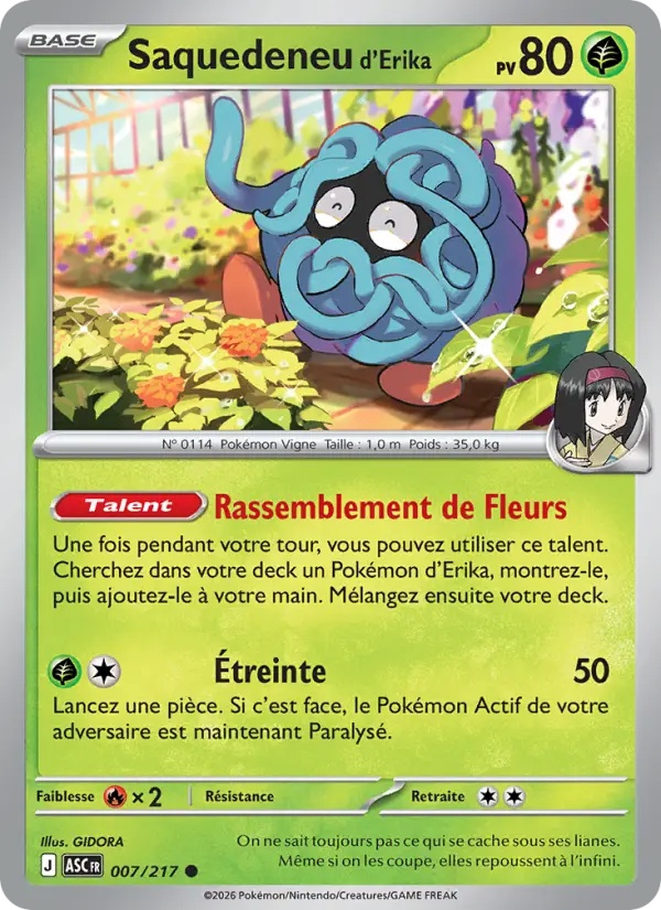 Saquedeneu d'Erika 007/217