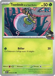 Tissenboule de la Team Rocket 018/217
