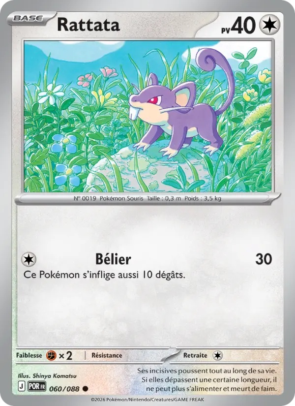 Rattata 060/88