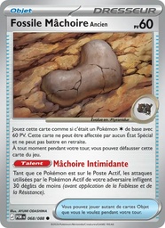 Fossile Mâchoire Ancien 068/88