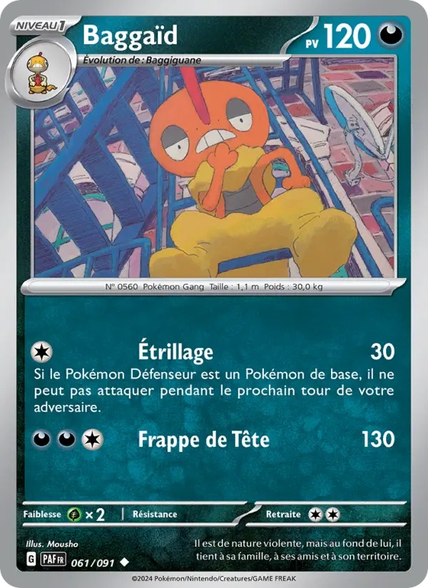 Baggaïd 061/91