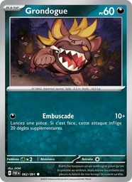 Grondogue 062/91