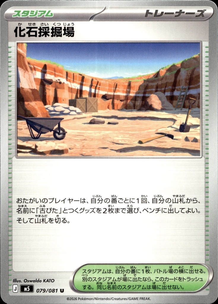 Site de Fouilles Fossiles 079/081 - Japonais